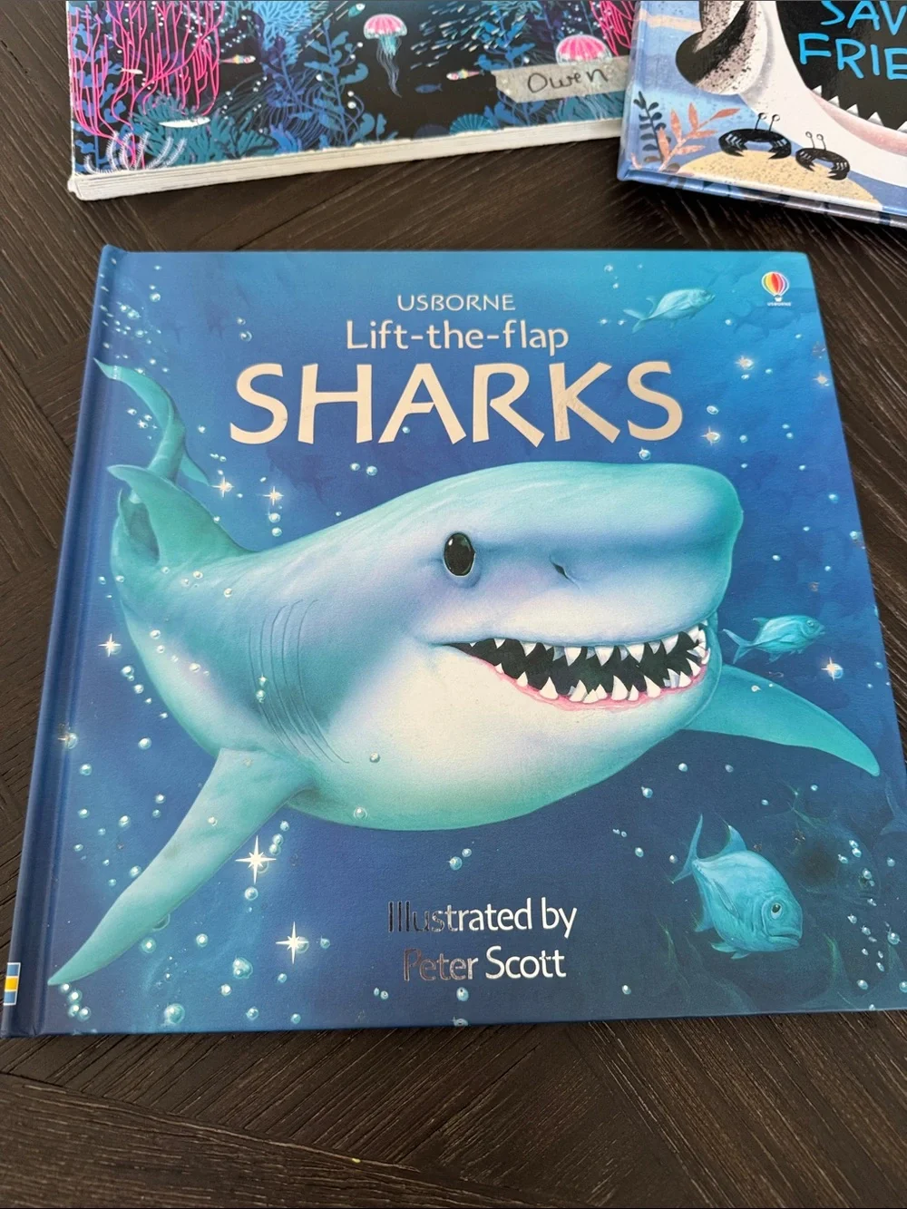 Kids Book Bundle Sharks Ocean Usborne Lift Flap City Chickapig Hardcover Lot